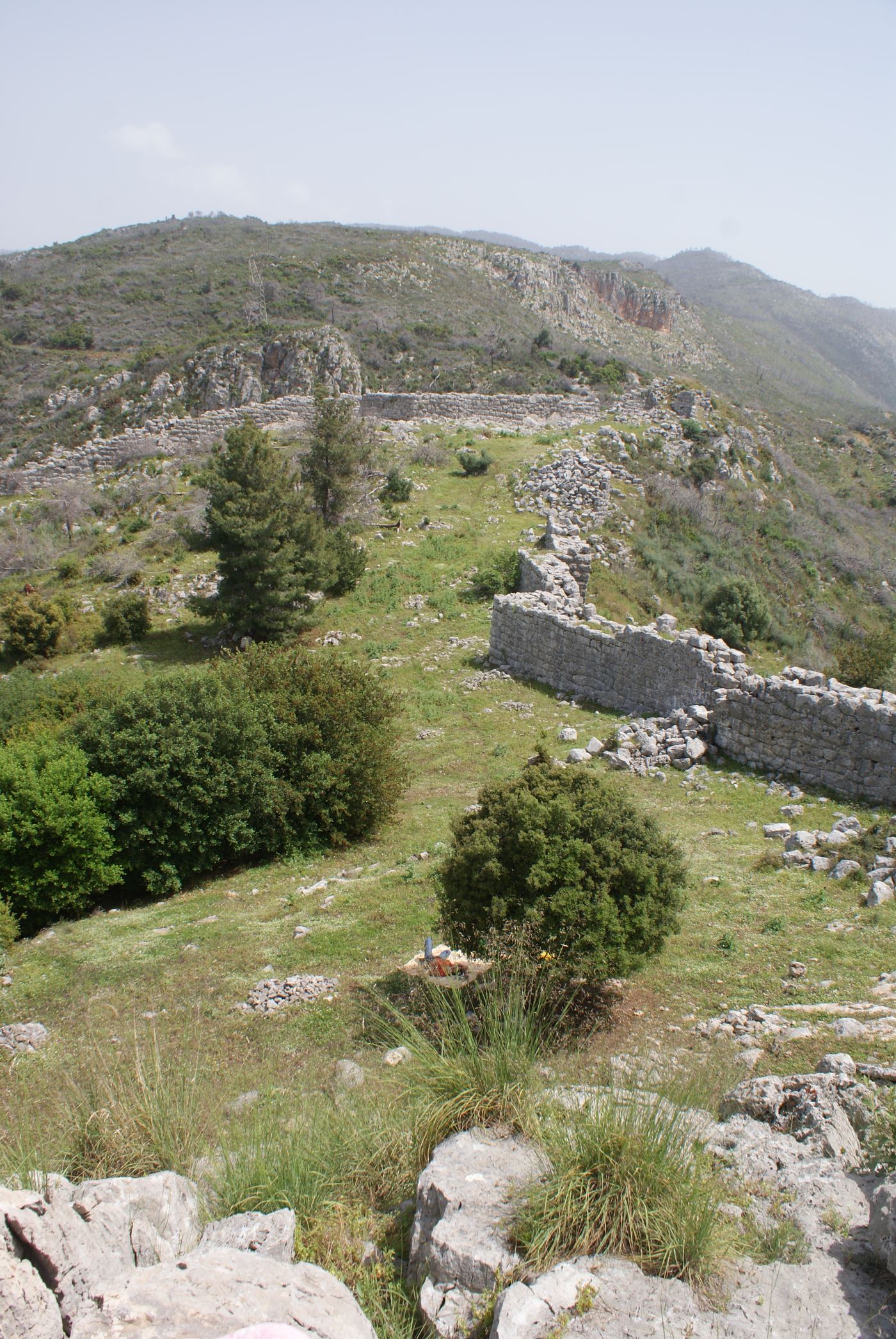 Looking inland from the highest point.