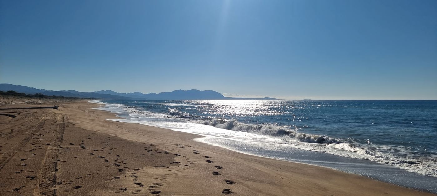 Looking south along the coast.