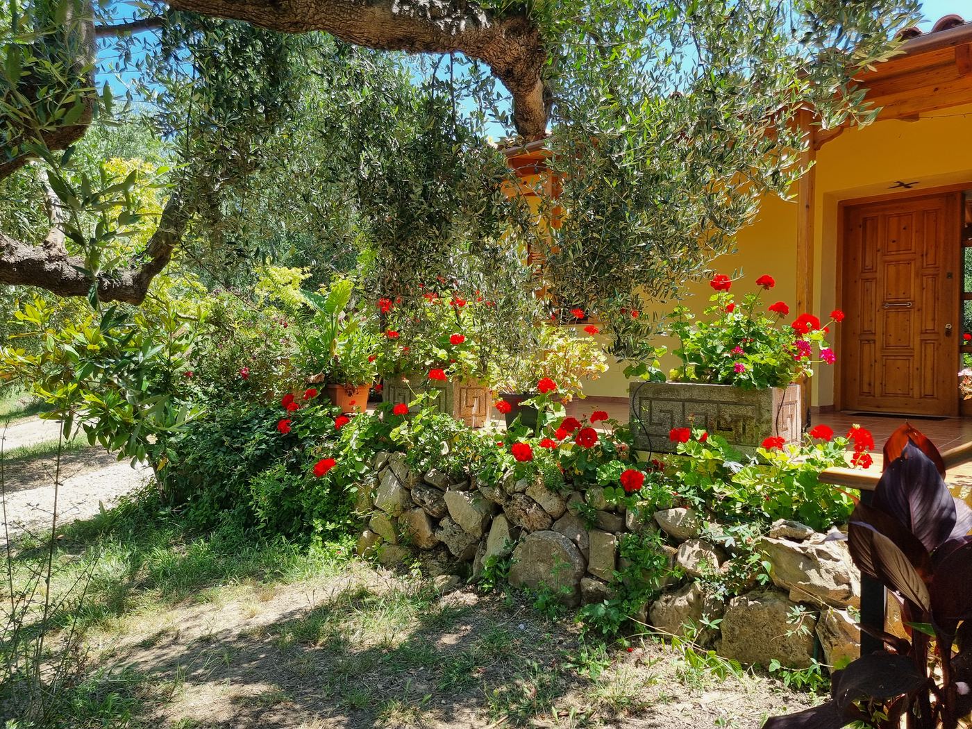 The path through the garden to the front door.