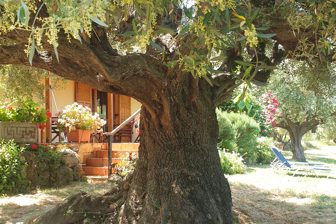 The house from the terrace, across the tiled floor.