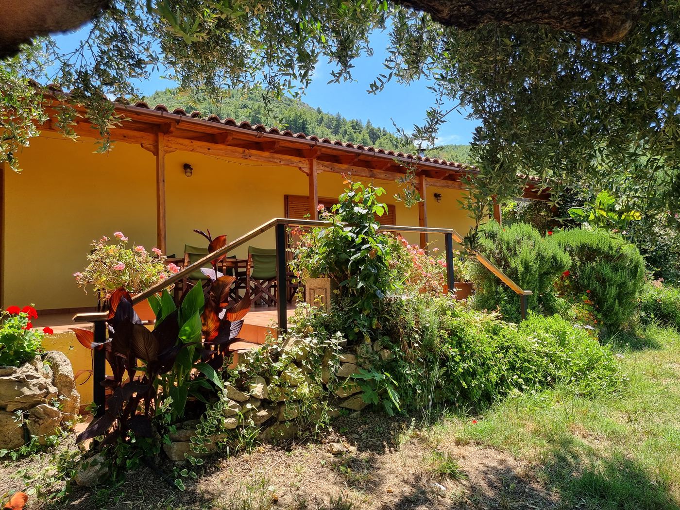 The side of the house, with the pergola and the steps down to the grove.