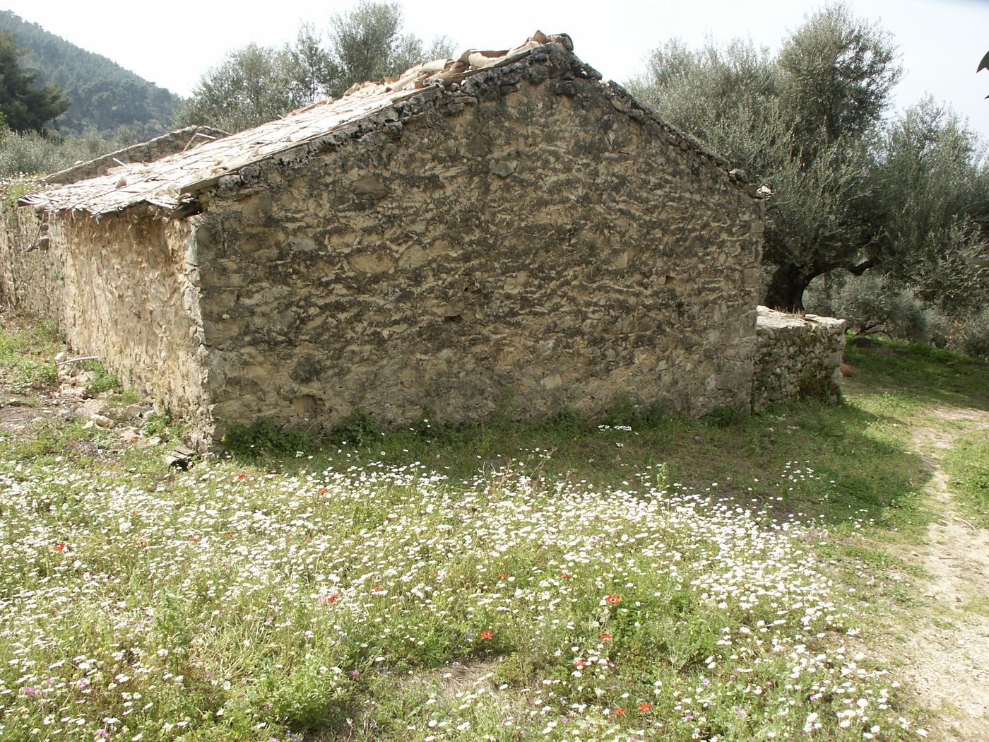 The house as we bought it, March 2004.