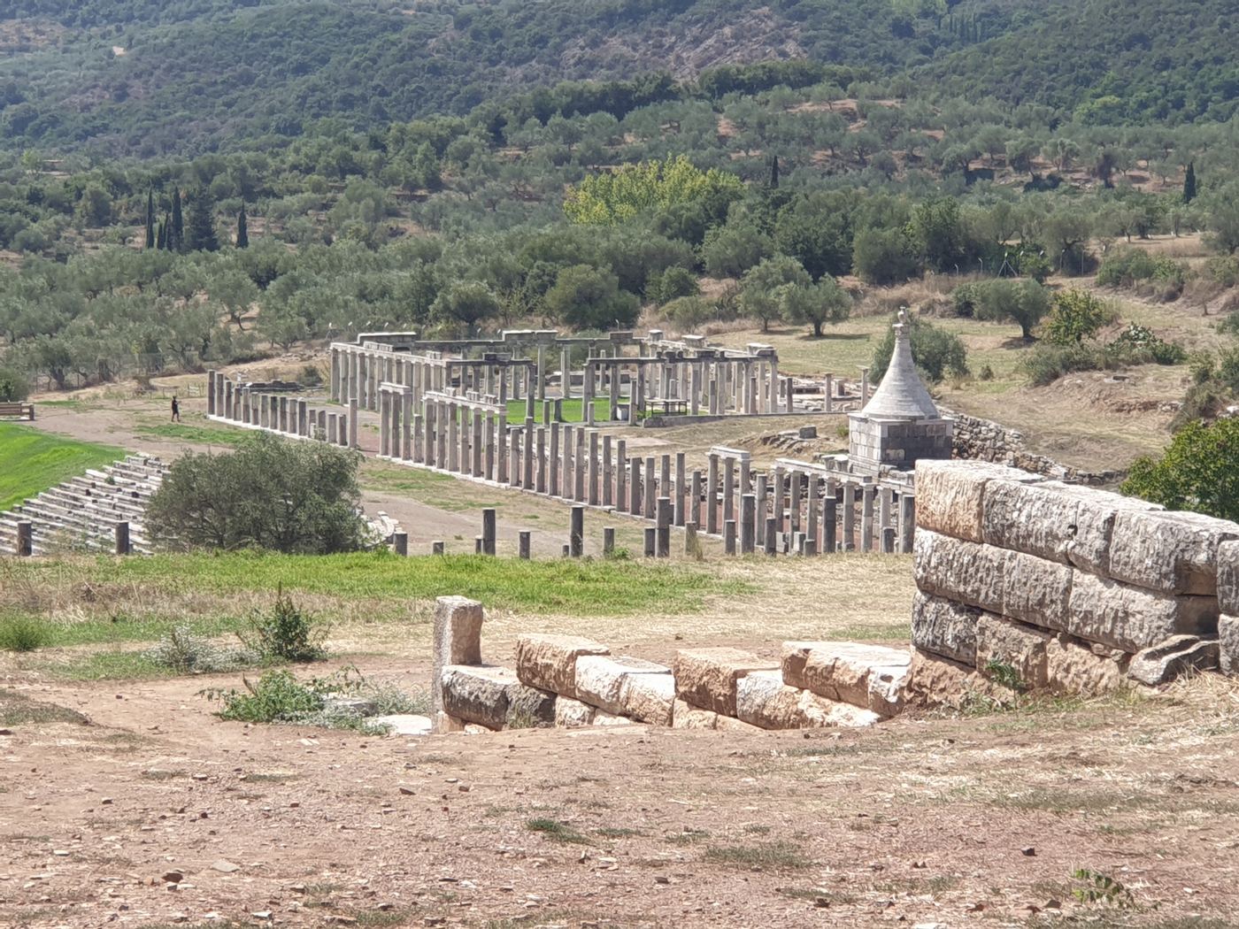 Looking across the site to the Palaestra.
