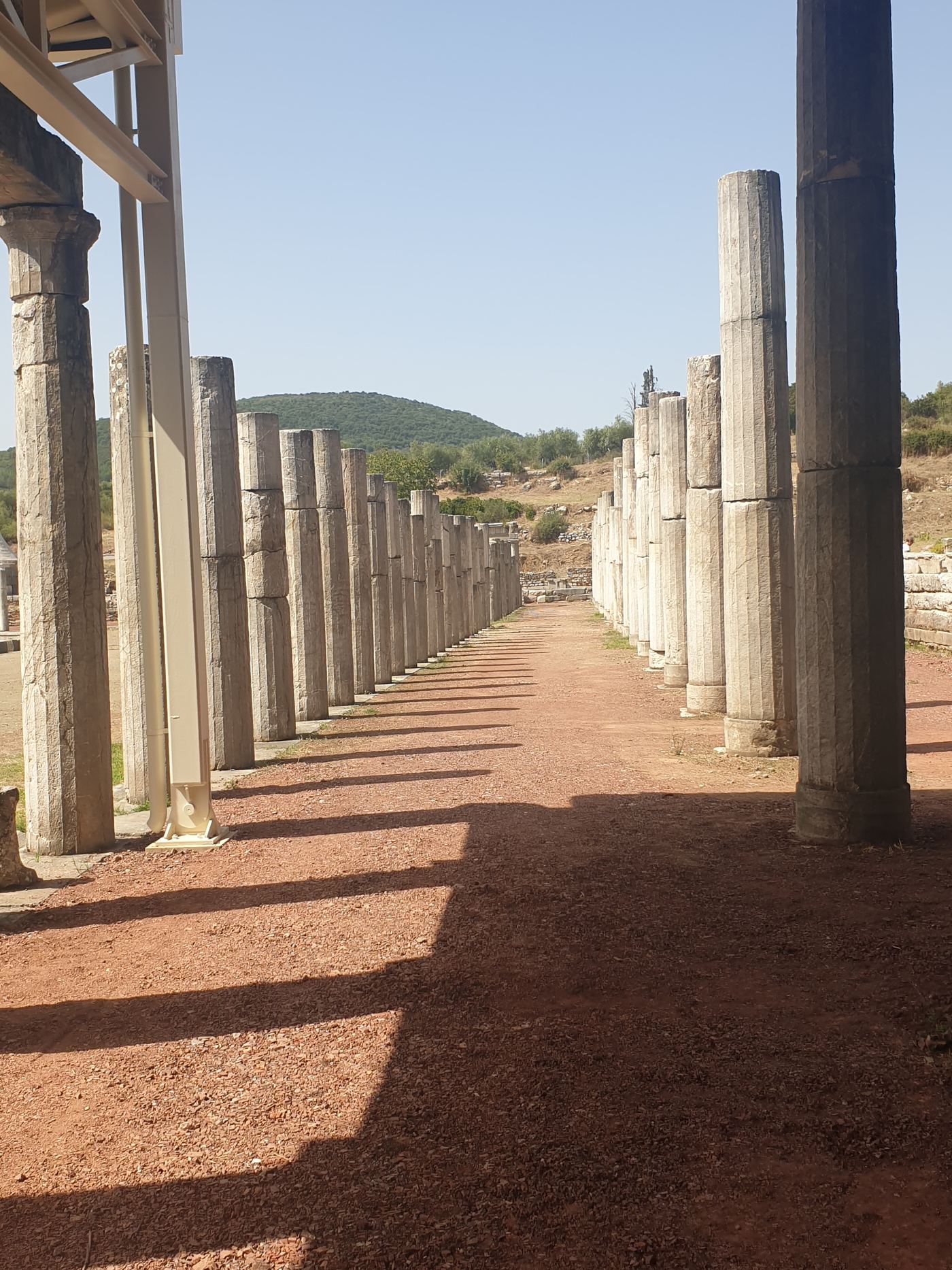 Looking along a row of columns.