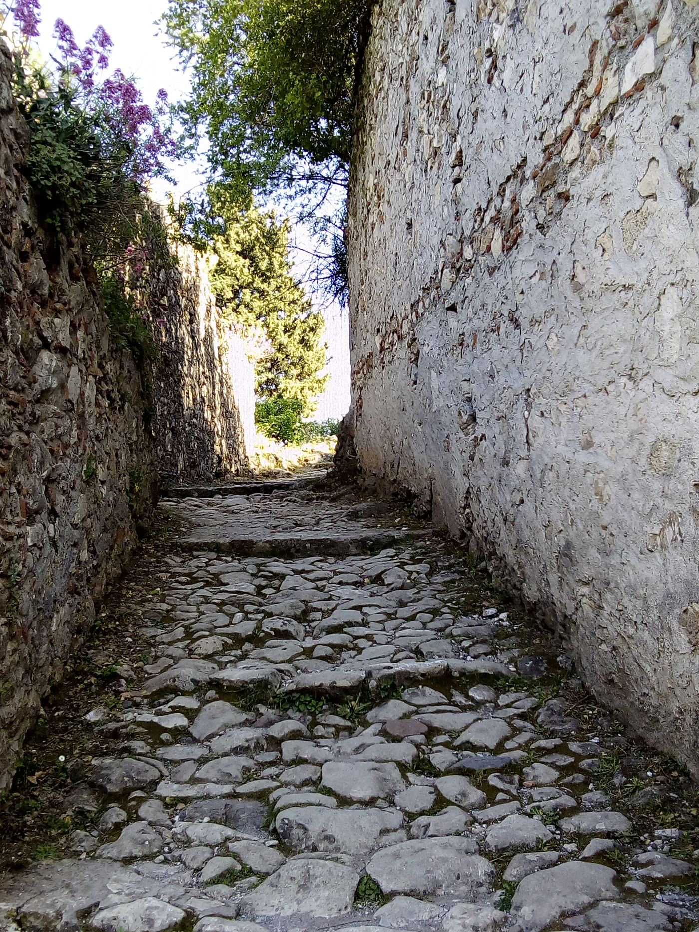 A narrow stepped alley between the walls.