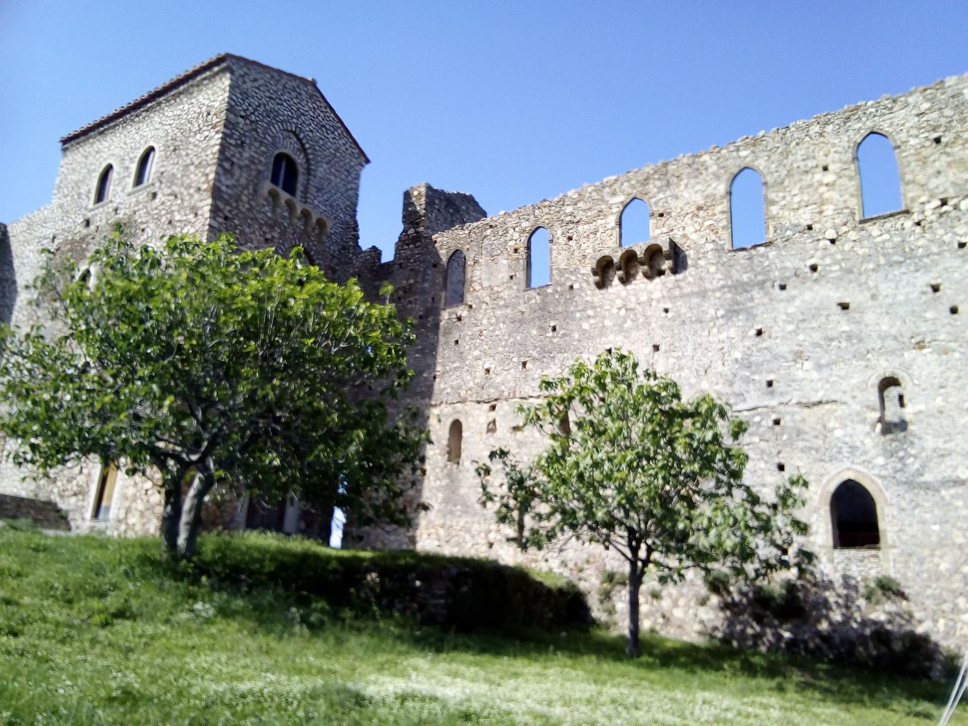 Arched openings in a great ruined wall, with a tree in front of it.