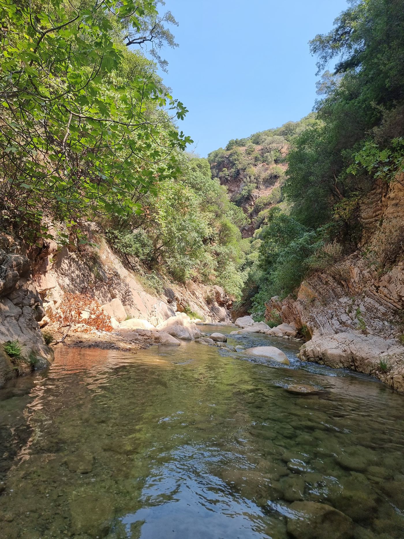 Below the bridge, the river starts to narrow.