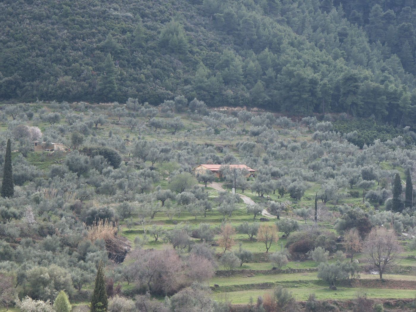 The house, from across the valley.