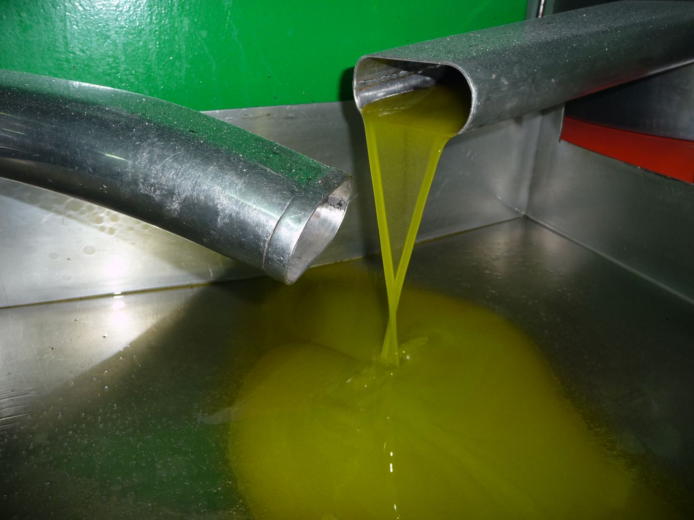Green gold: the final product