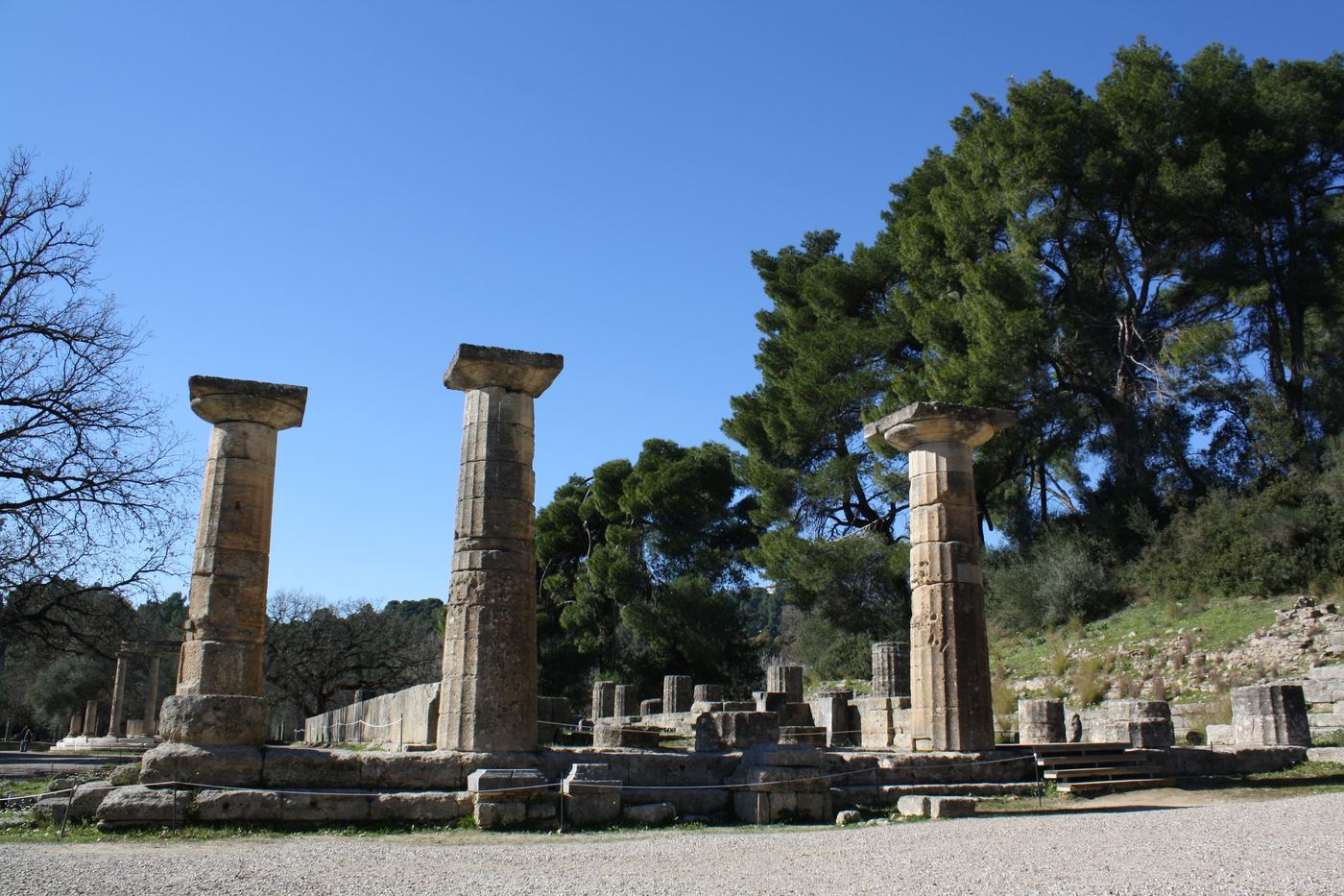 The temple of Hera, with the pine woods behind.
