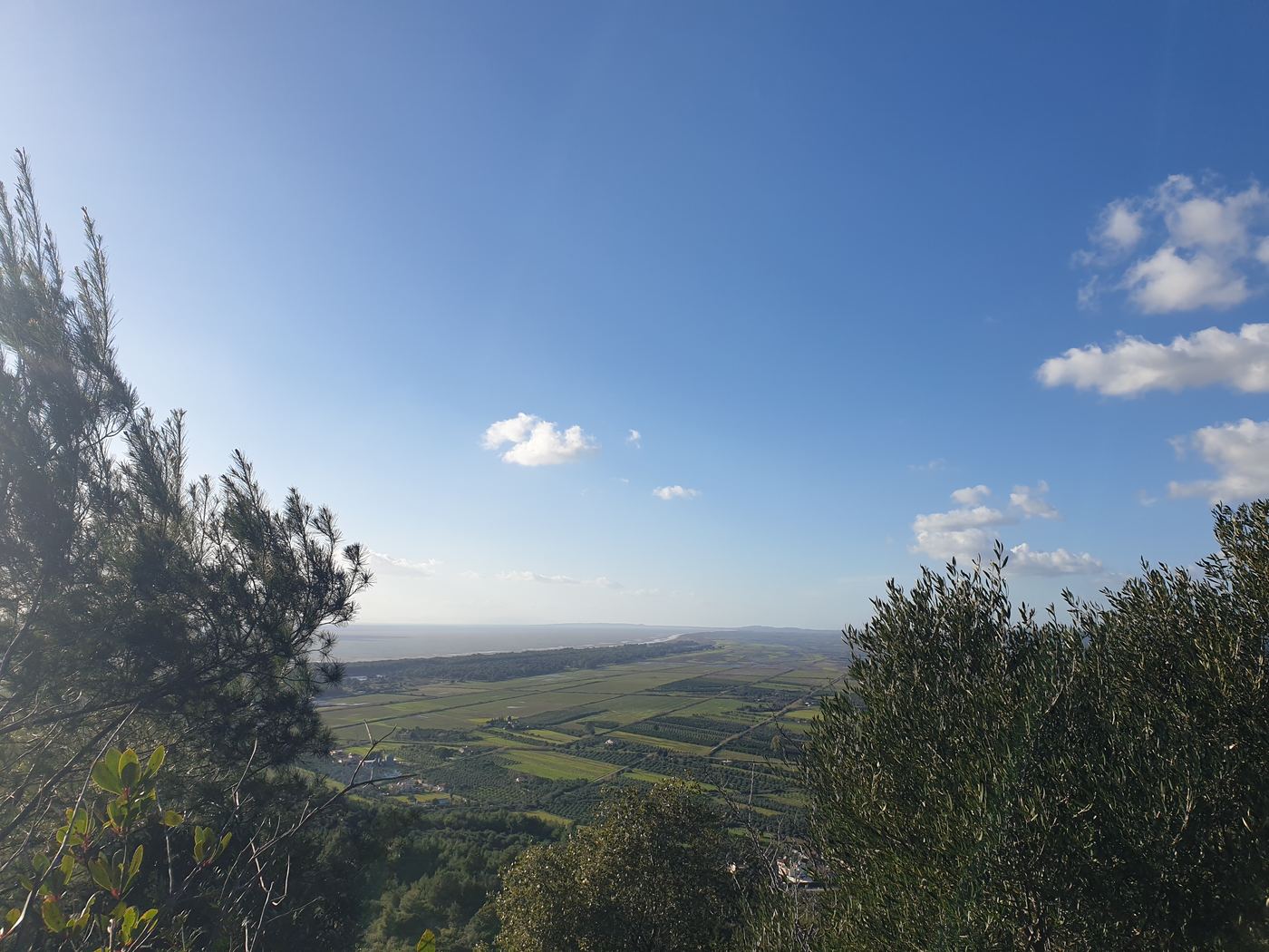 The plain, from the top.