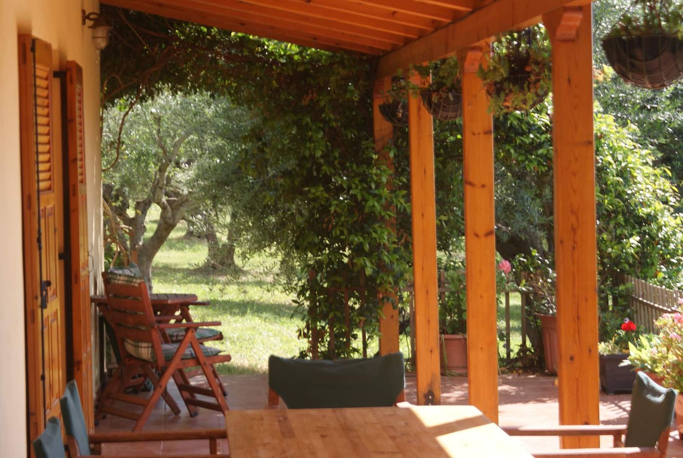 A corner of the veranda, and some of our olive trees.