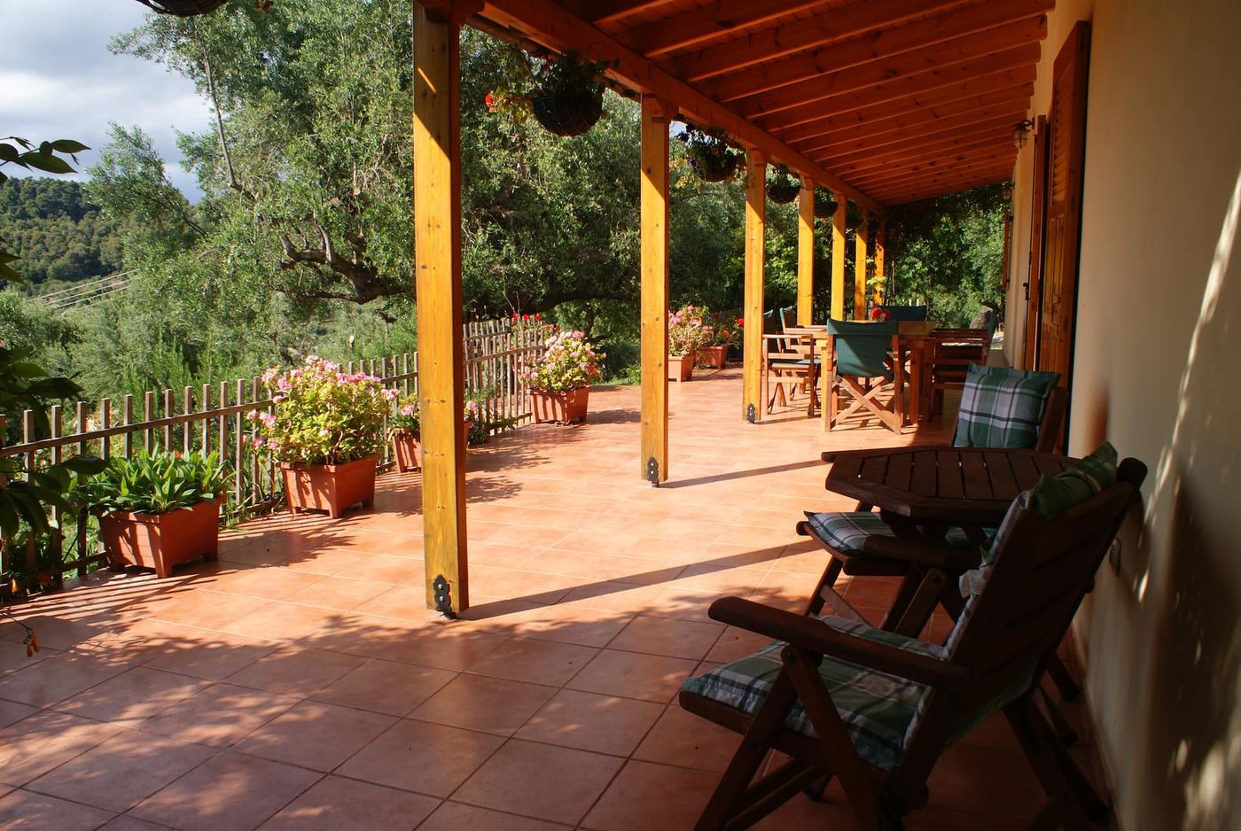 The veranda, with the biggest olive tree on the farm giving added shade.